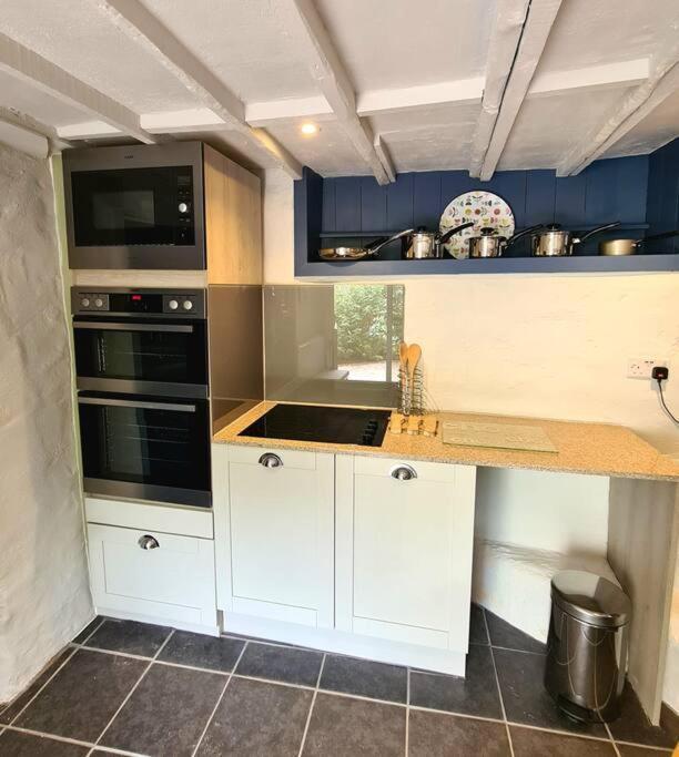 Mill Cottage Garden Annexe Newton Abbot Bagian luar foto