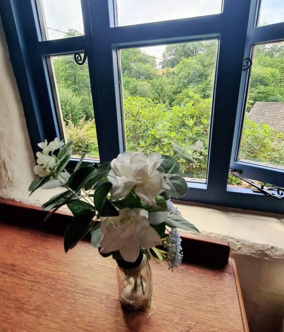 Mill Cottage Garden Annexe Newton Abbot Bagian luar foto
