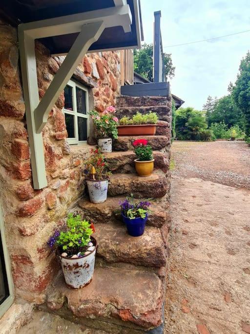 Mill Cottage Garden Annexe Newton Abbot Bagian luar foto